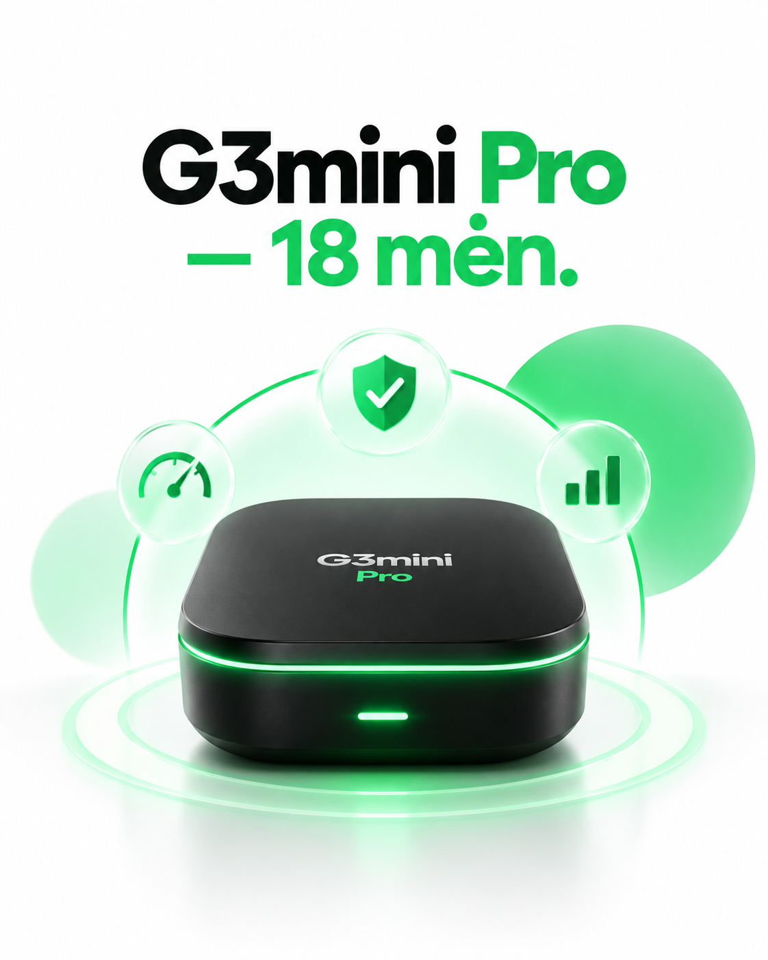 Gemini Pro — 18 mėn.
